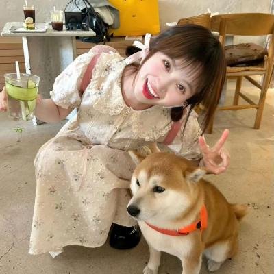我的夜晚比你的白天更美 高清封面